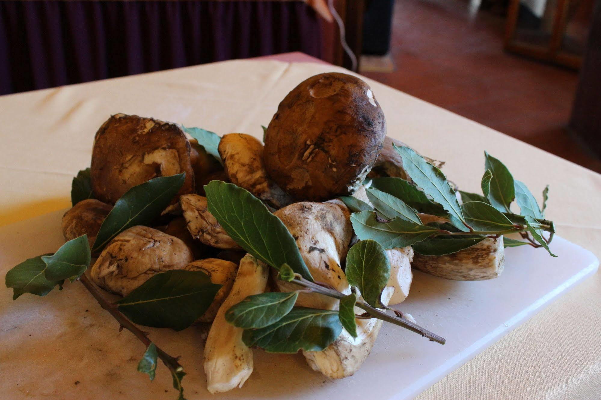 Albergo La Pieve Кастелфиорентино Екстериор снимка